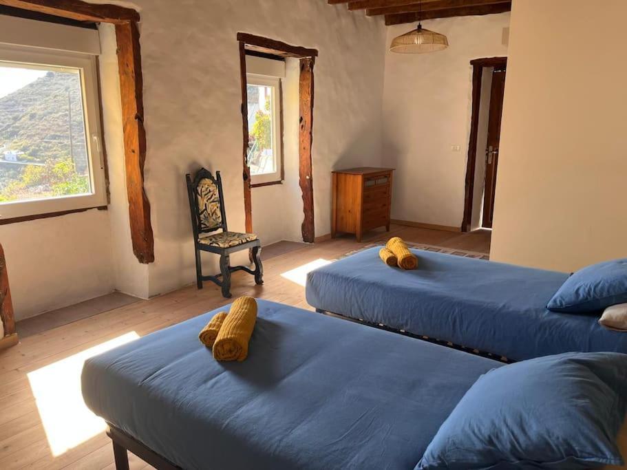 La Casa Del Aguacate Villa Sabinosa Ngoại thất bức ảnh